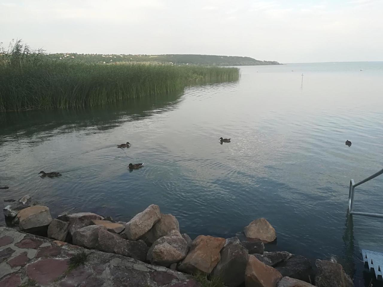 Betty Apartman Balatonfuzfo Exterior foto